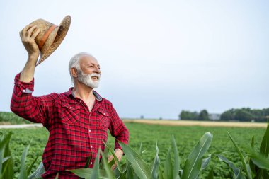 Kıdemli çiftçinin portresi gururla tarlasında duruyor ve şapkasını tutuyor..