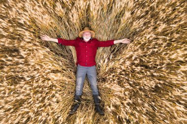 Üst düzey çiftçi, buğday tarlasında yatarken iyi hasılattan dolayı mutlu hissediyor..