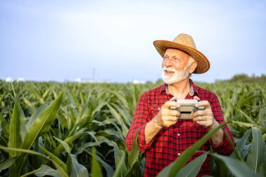 Tarımsal İHA ile uçan işçiler mısır tarlasını izliyor ve hasat öncesi veri topluyor.