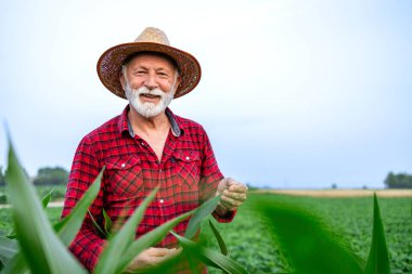 Portrait of caucasian farmer standing in the field and looking to the camera. clipart