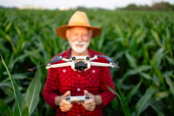 농업에서 기술을 사용합니다 옥수수 필드에 건강을 모니터링 항공기를 — 스톡 사진