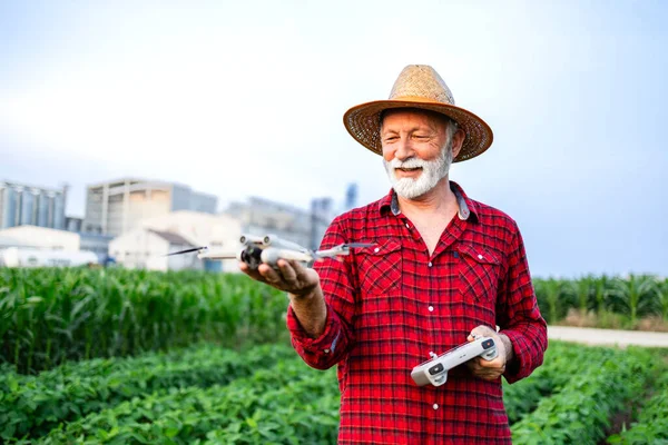 Senior Zemědělec Vypustí Zemědělský Dron Aby Zkontroloval Růst Plodin Poli — Stock fotografie