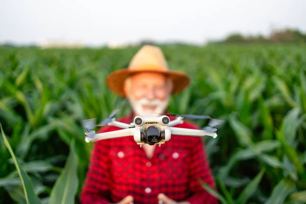 농부는 옥수수 필드에 드론을 비행하고 스펙트럼 카메라로 작물을 모니터링 — 스톡 사진