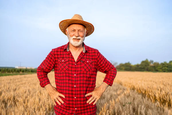 Portrait of senior farmer wearing hat and standing in wheat field before harvest.