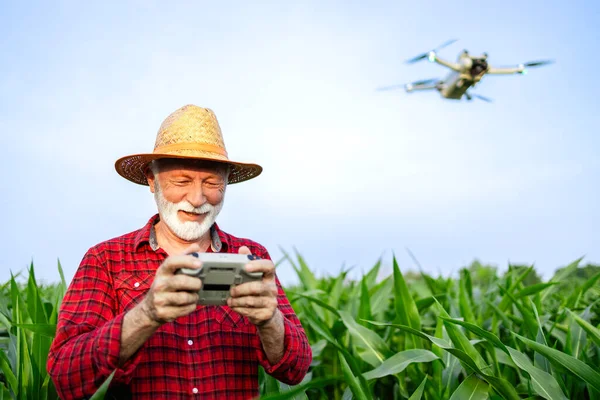 リモートコントローラーと飛行農業無人機を保有するシニア農民 トウモロコシ畑を監視し データを収集 — ストック写真