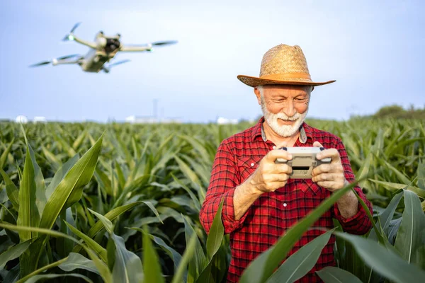 농업학자 항공기는 옥수수 필드를 모니터링하고 수확하기 데이터를 — 스톡 사진