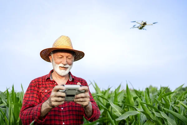 農作物の噴霧および監視のための分野の無人機技術を使用して農民 — ストック写真