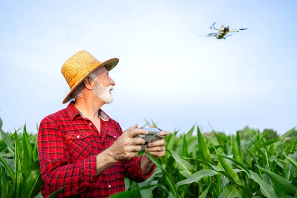 農作物の噴霧および監視のための分野の無人機技術を使用して農民 — ストック写真