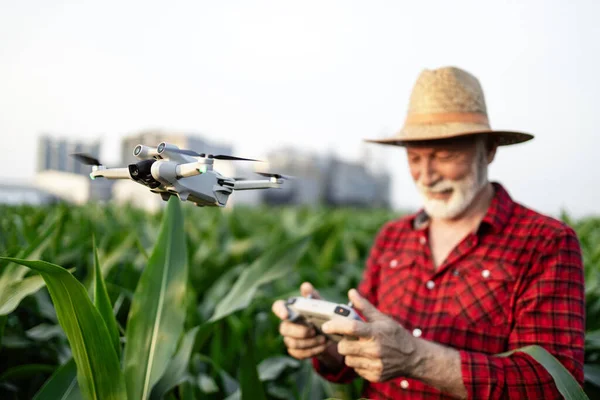 농부는 옥수수 모니터링 작물을 항공기를 똑똑한 — 스톡 사진