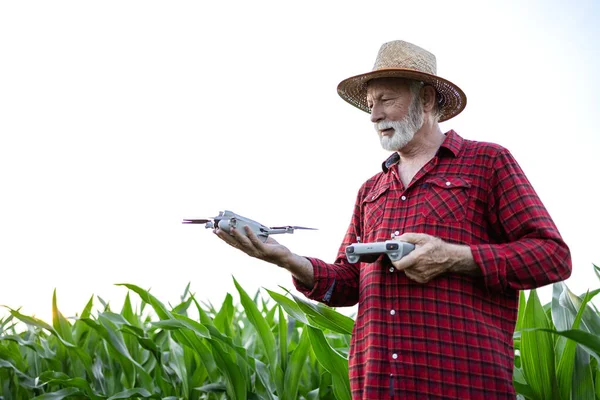 농업에서 현대적인 기술을 사용하여 드론을 작물의 성장과 건강을 모니터링 — 스톡 사진