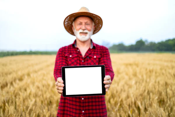 Man Standing Field Using Smart Farming Application Digital Tablet Managing — Stock Photo, Image