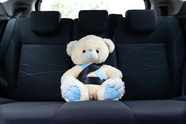 Konsep Keselamatan Mobil Anak Anak Mainan Teddy Bear Dengan Sabuk Stok Foto