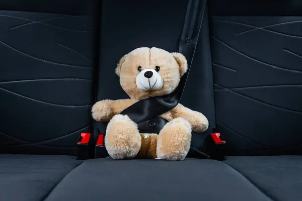 Konsep Asuransi Perjalanan Anak Anak Boneka Beruang Teddy Dengan Sabuk Stok Gambar Bebas Royalti