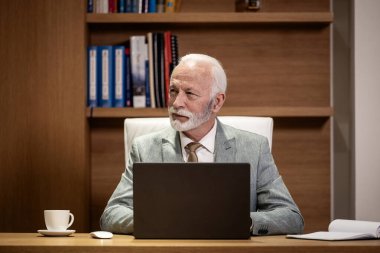 Lüks ofisteki dizüstü bilgisayarda çalışan deneyimli Kafkas genel müdürü..