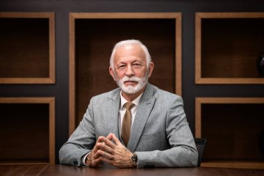 Kıdemli yönetici. Kendine güvenen CEO ya da takım elbiseli genel müdür lüks ofiste oturuyor ve kameraya bakıyor..