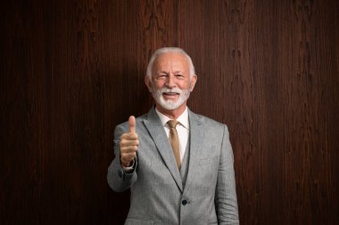 İş elbisesi giymiş üst düzey şirket yöneticisinin portresi..