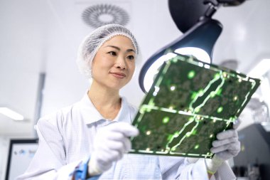 Japon mühendis veya teknoloji uzmanı bilgisayar çipi fabrikasındaki elektronik parçaların kalitesini denetliyor.