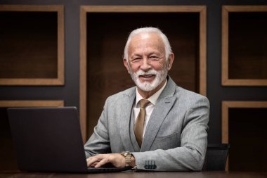 Gülümseyen yakışıklı kıdemli işadamının portresi rahat ofis koltuğunda oturuyor ve dizüstü bilgisayarla çalışıyor..