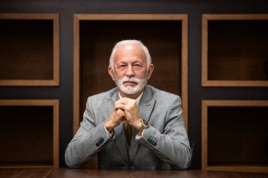 Kararlı yakışıklı kıdemli işadamının portresi rahat koltuğunda oturuyor ve kameraya bakıyor..