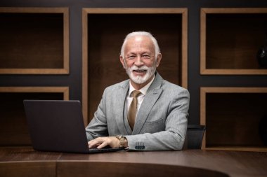 Gülümseyen yakışıklı kıdemli işadamının portresi rahat ofis koltuğunda oturuyor ve dizüstü bilgisayarla çalışıyor..