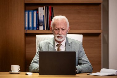 Ofisinde dizüstü bilgisayarla çalışan yakışıklı kıdemli iş adamı..
