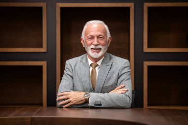 Kararlı yakışıklı kıdemli işadamının portresi rahat koltuğunda oturuyor ve kameraya bakıyor..