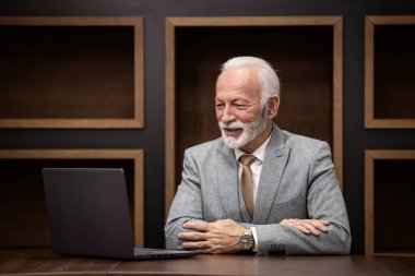 Gülümseyen yakışıklı kıdemli işadamının portresi rahat ofis koltuğunda oturuyor ve dizüstü bilgisayarla çalışıyor..