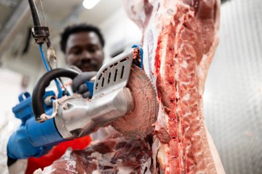 Yemek fabrikasında et işlemek için elektrikli testere kullanan mezbaha işçisi..