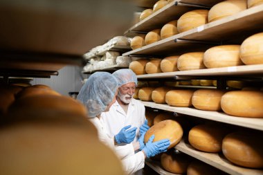 İki deneyimli peynir üreticisi gıda deposunda yapı kalitesini ve olgunlaşma durumunu tartışıyor..