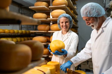 Steril giyimli gıda teknolojileri peynir üretim fabrikasında çalışıyor ve ürünün kalitesini kontrol ediyor..