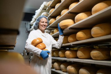 Beyaz steril giysili kadın yemek işçisi olgunlaşma durumuna göre rafta peynir ayırıyor..