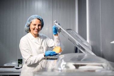 Yiyecek işçisi ya da teknoloji uzmanı peynir temizleme makinesinde çalışıyor..