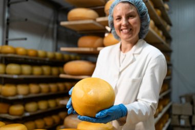 Gülümseyen kadın yemek işçisinin portresi fabrikada peynir ürünleri tutuyor. Peynir çarkına odaklan.