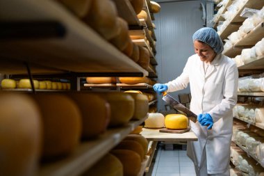 Steril giyimli gıda teknolojisi uzmanı peynir üretim fabrikasında çalışıyor ve ürünün kalitesini kontrol ediyor..