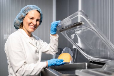 Yiyecek fabrikası işçisi dağıtım için peynir temizliyor ve paketliyor..