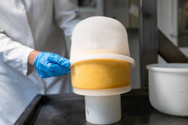 Süt ürünleri. Gıda teknisyeni laboratuvar kalite kontrol odasında peynir tuzunu kontrol ediyor..