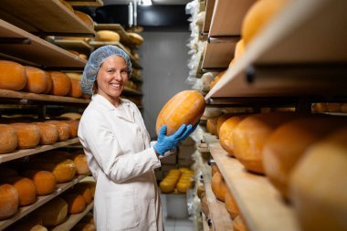 Yiyecek fabrikasında çalışan kadın işçi peynir tekerlerinin kalitesini kontrol ediyor..