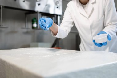 Peynir fabrikası işçisi tuzlayıp rulo peynir yapıyor..