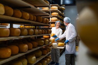 Peynir yapma süreci ve kalite kontrol. Peynir deposunda çalışkan. Yiyecek müfettişleri, görsel denetimle peynir tekerleklerini kontrol ediyorlar..