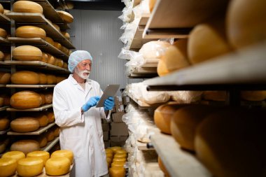 Kaliteli peynir yapmak gibi küçük bir iş. Tabletli girişimci, kaliteli peynirin yaşlanma sürecini kontrol ediyor.