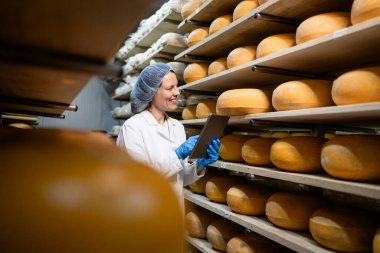 Yiyecek depolama kontrolü. Raflardaki peynir tekerlerinin durumu kontrol ediliyor.