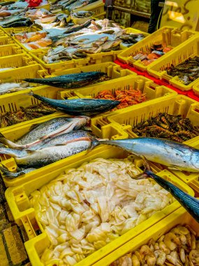 Dorada on ice in a store. Fresh fish in a supermarket