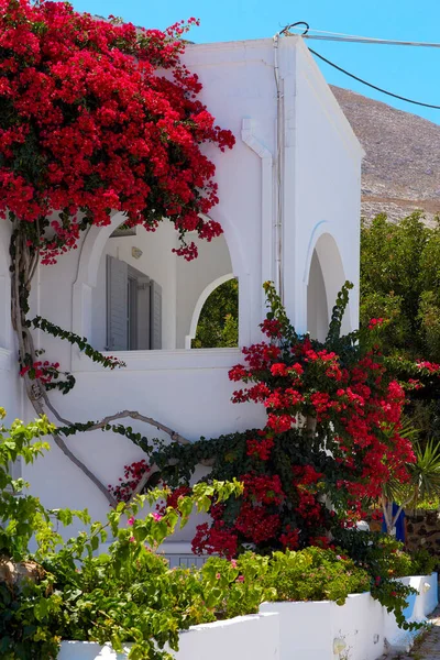 Balcony Overgrown Bright Crimson Flowers White Building Resort Style Mediterranean — Stockfoto