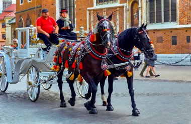 Krakow Polonya 7 Ağustos 2022: Krakow at arabaları Krakow 'un en büyük turistik yerlerinden biridir..