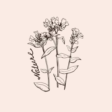  Orman çiçeklerinin grafiksel çizimi. Vektör illüstrasyonu. 