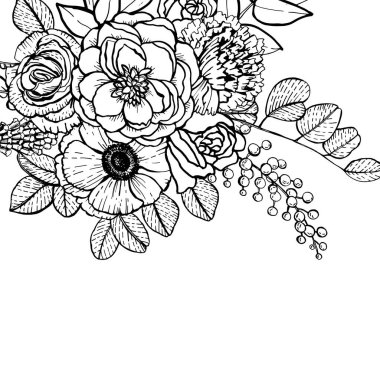 Çizimsel illüstrasyon Botanik çizimler