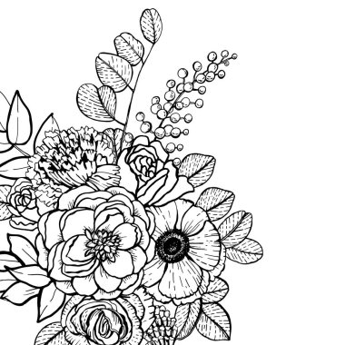 Çizimsel illüstrasyon Botanik çizimler