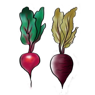 Parlak pancar çizimi. Sebze. Dijital illüstrasyon.