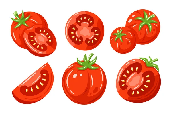 Red Tomatoes Collection Isolated White Background Vector Illustration — Stock Vector