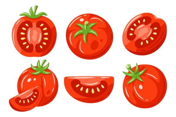 Red Tomatoes Collection Isolated White Background Vector Illustration — Vetor de Stock